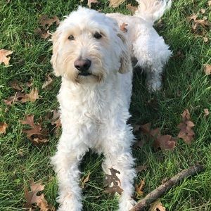 Meet your Posher, Sherry